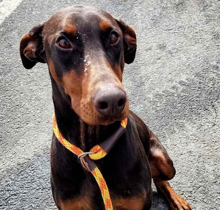 Photo of Molly