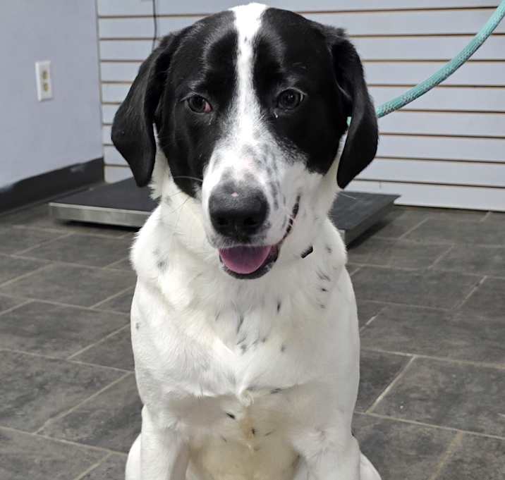 Photo of Petey