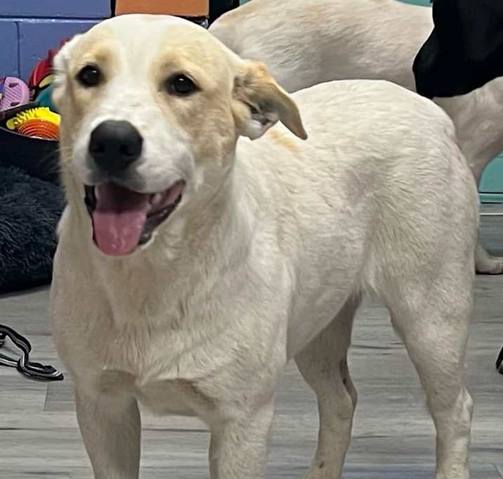 Photo of JUANITA/URGENT