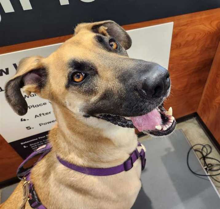 Photo of DUKE