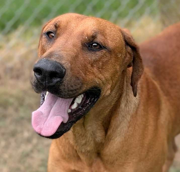 Photo of Thor
