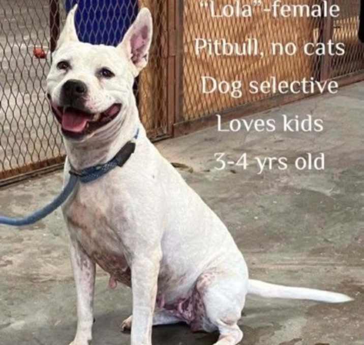 Photo of LoLa
