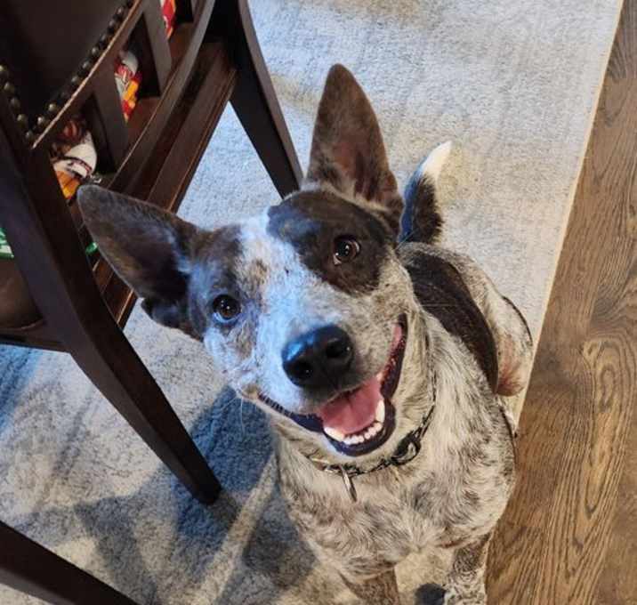 Photo of Della
