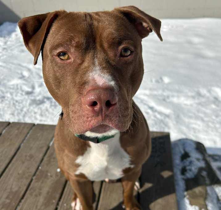 Photo of Smoke