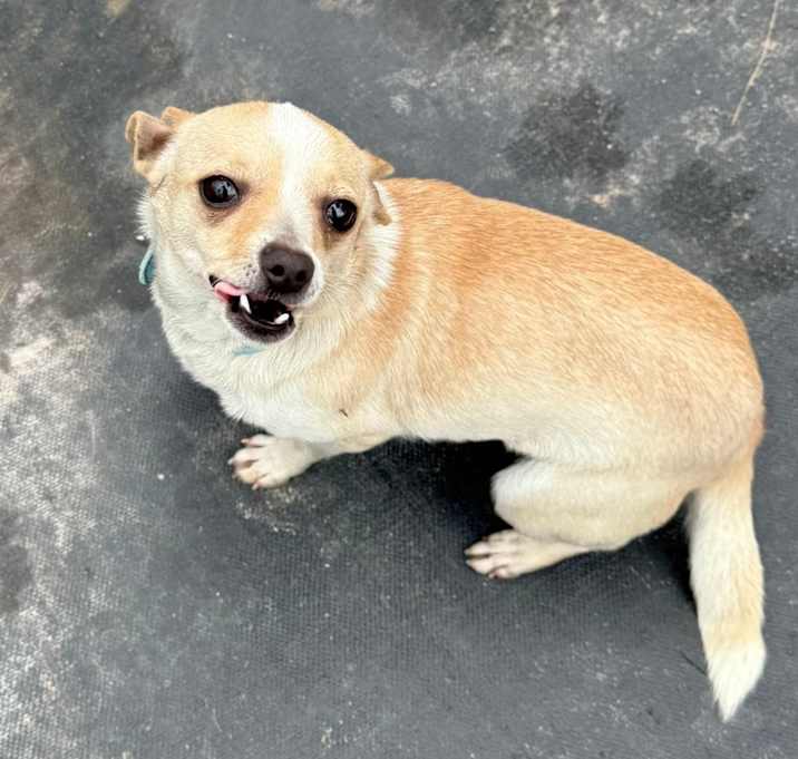 Photo of Whitney