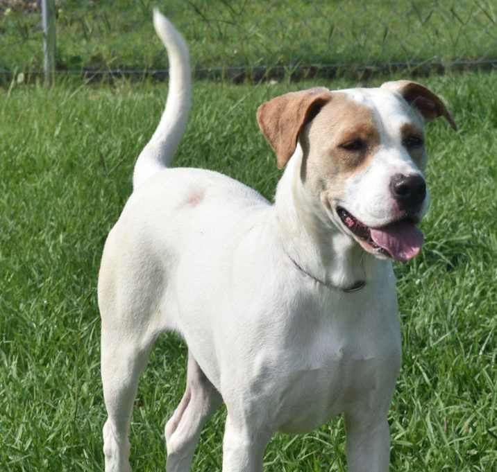 Photo of Diamond