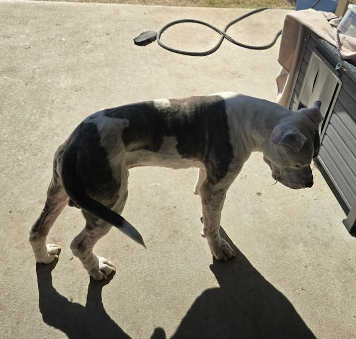 Photo of Max
