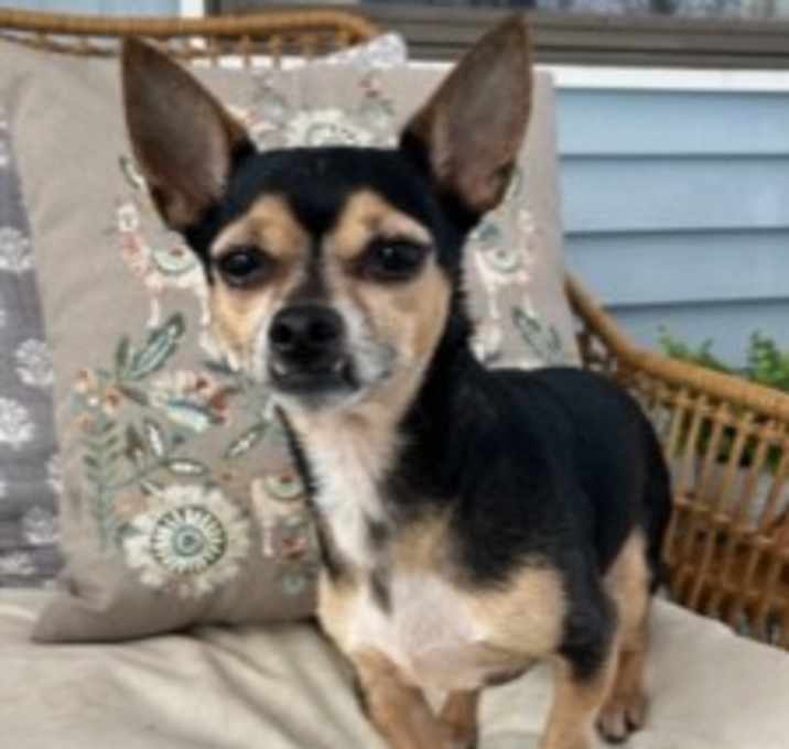Photo of Duke