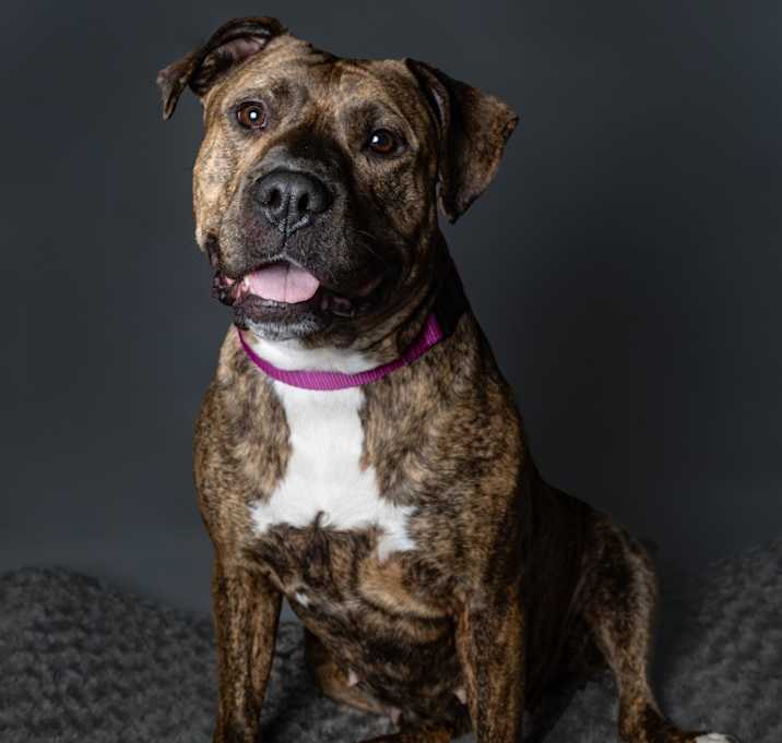 Photo of Orlina