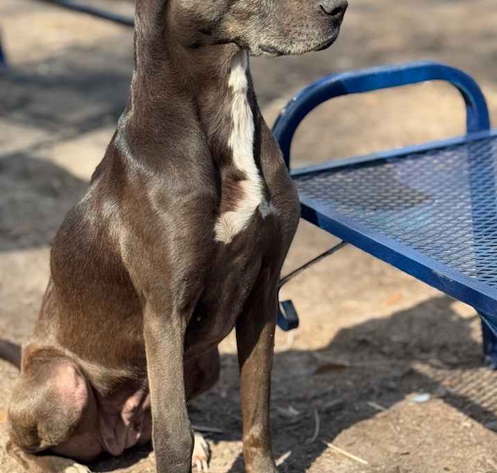 Photo of Raisin
