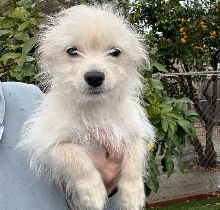 Photo of Sonny Boy