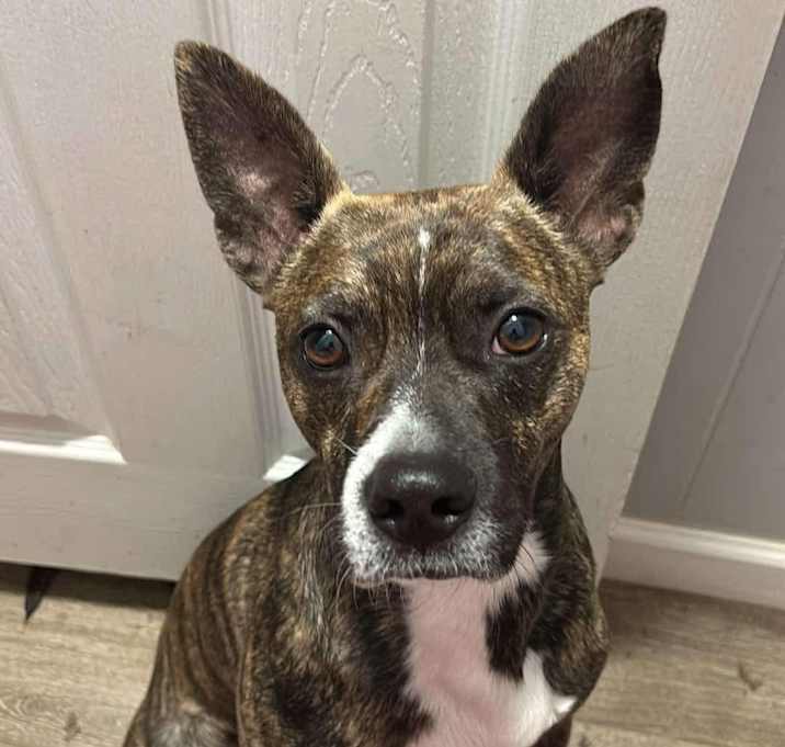 Photo of Jax