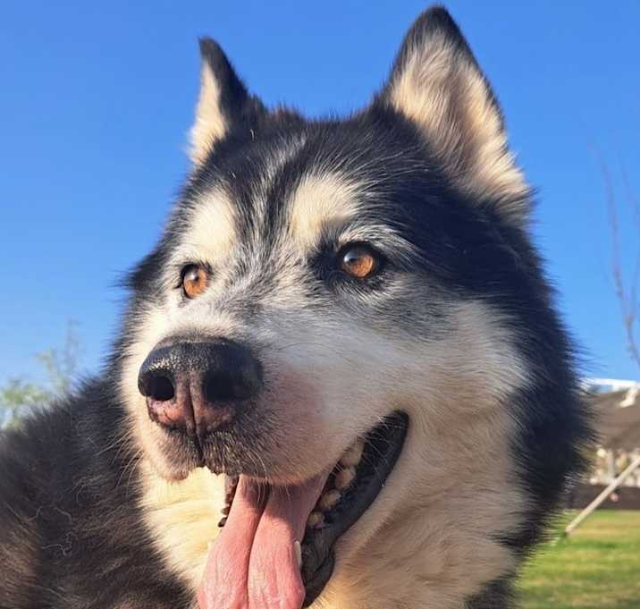 Photo of Bruce