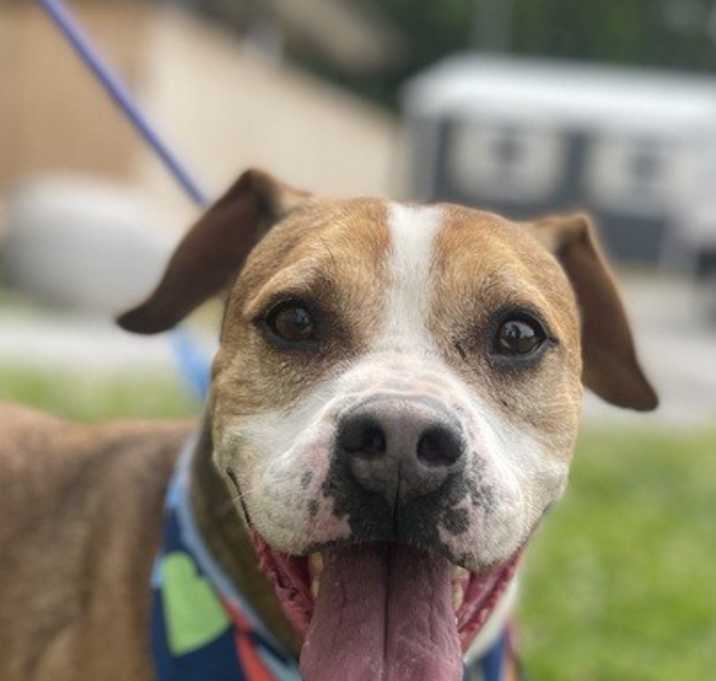 Photo of Sawyer