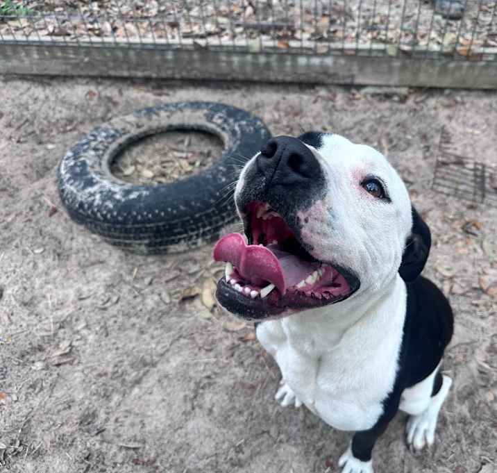 Photo of Dora