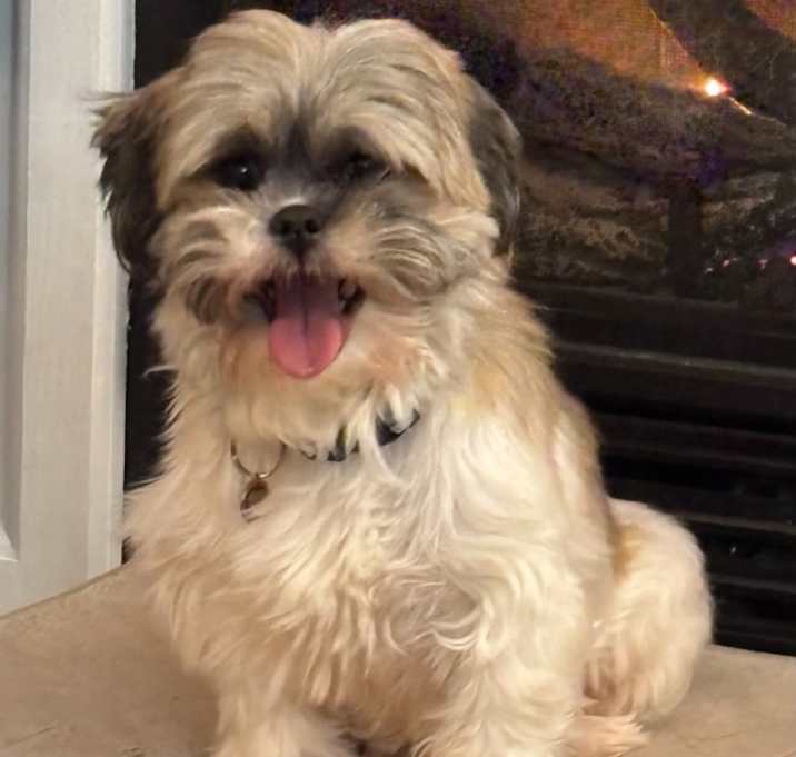 Photo of Acorn