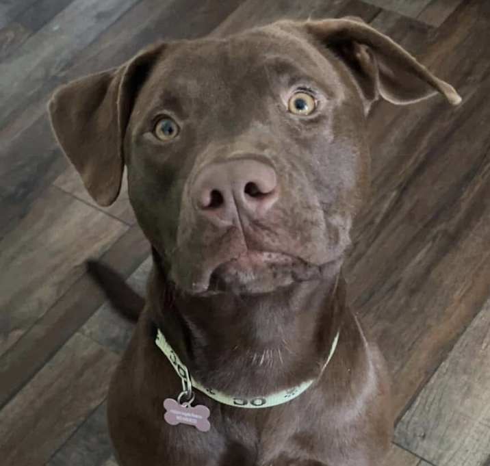 Photo of Turbo