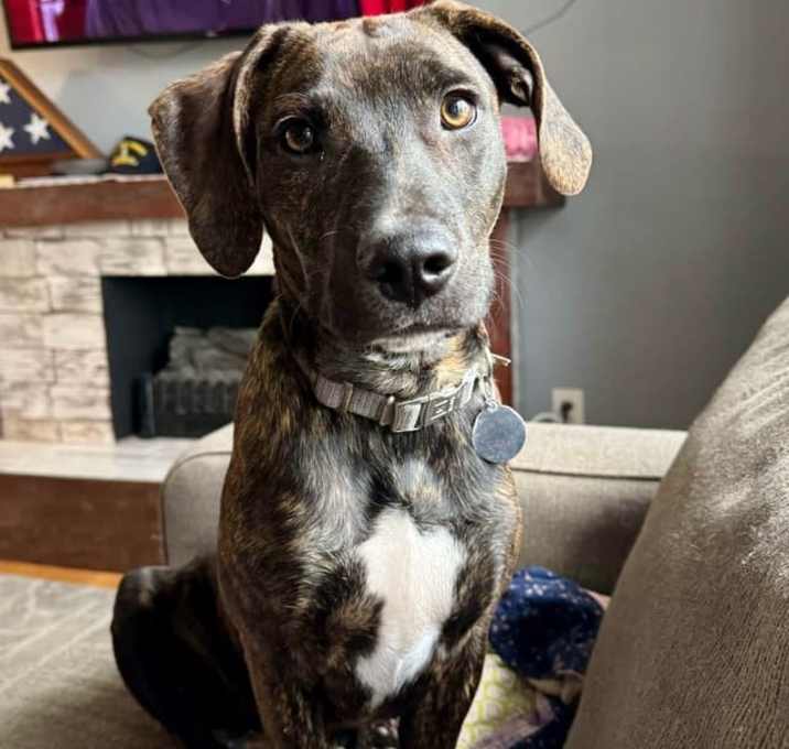 Photo of Indy