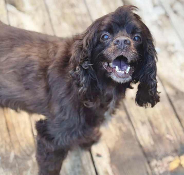Photo of Chloe