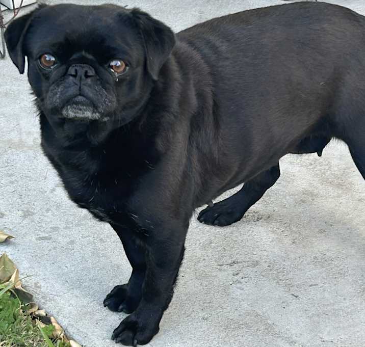Photo of Lilly