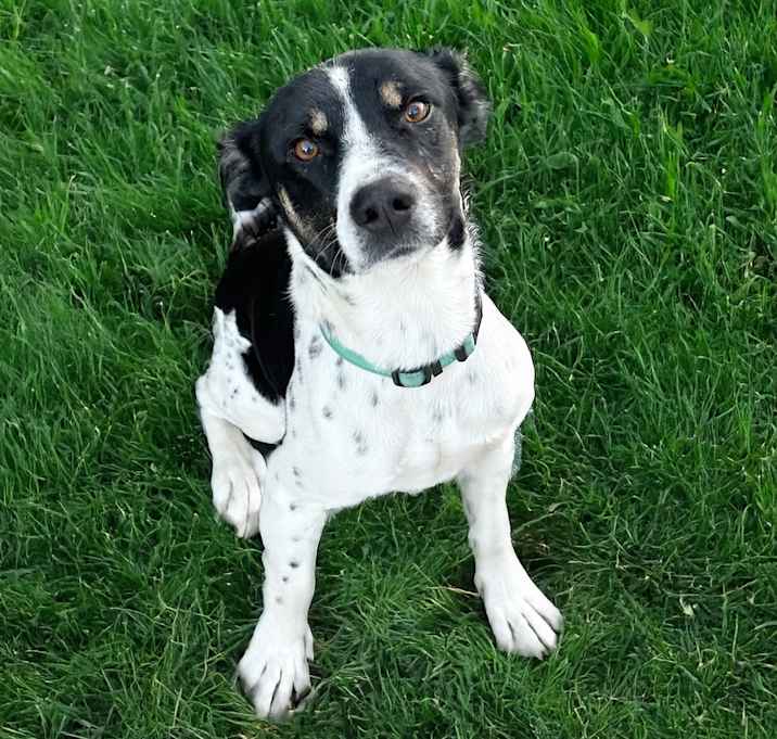 Photo of Burt