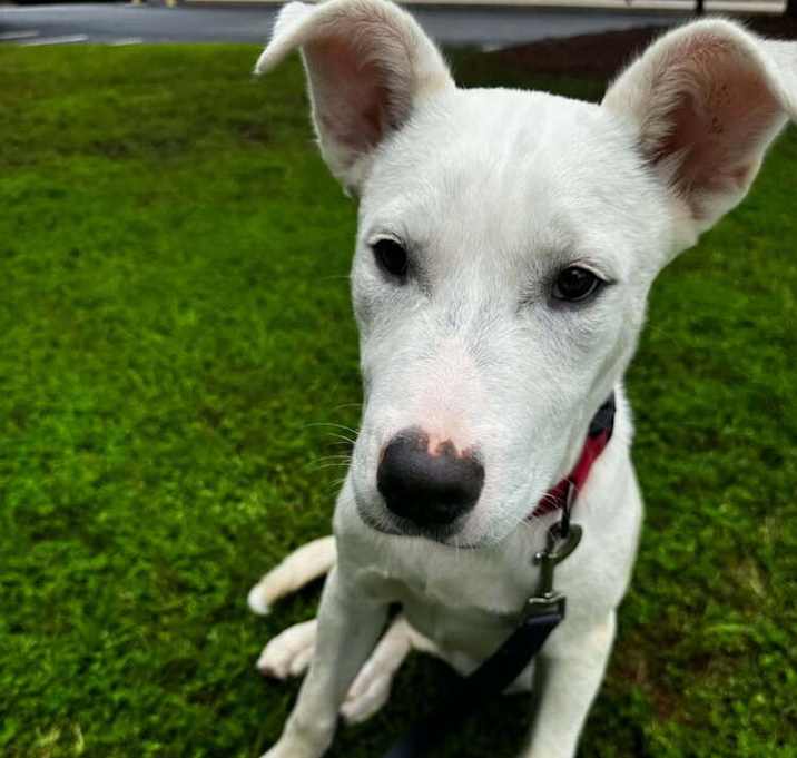 Photo of Munch