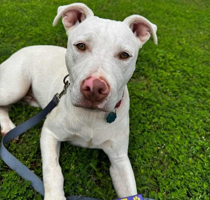 Photo of Casper