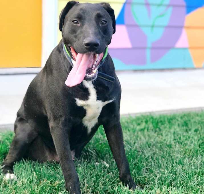 Photo of Floyd
