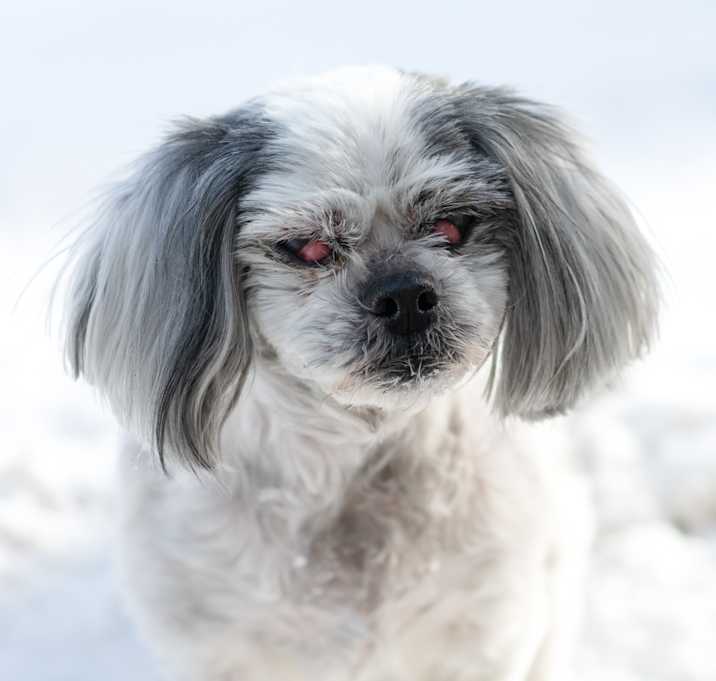 Photo of Bentley