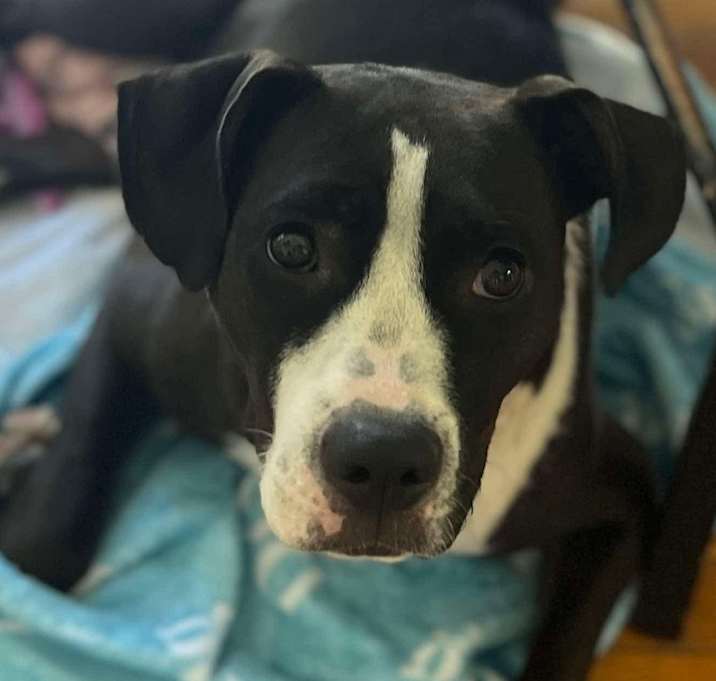 Photo of Cali