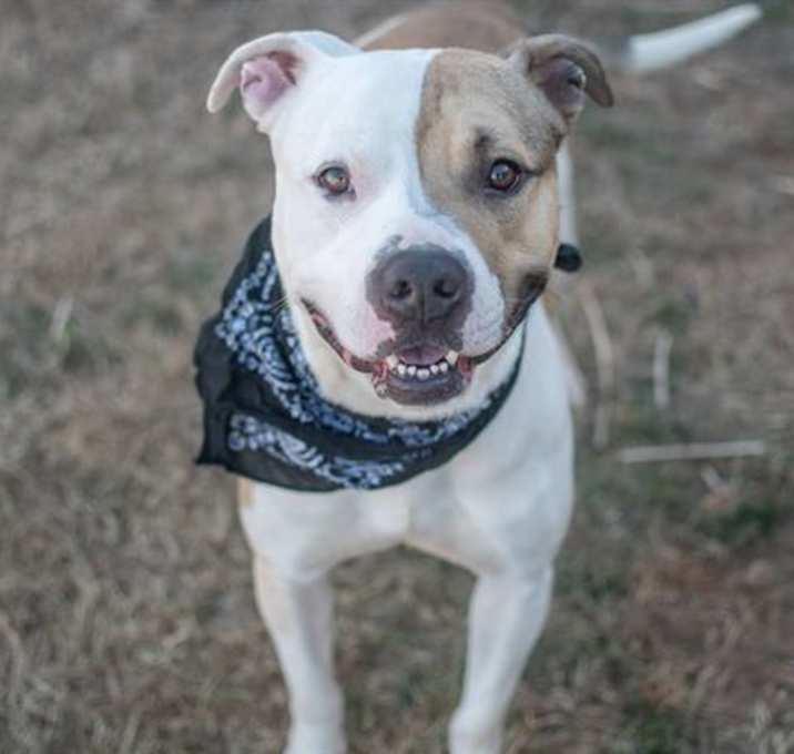Photo of MAVERICK