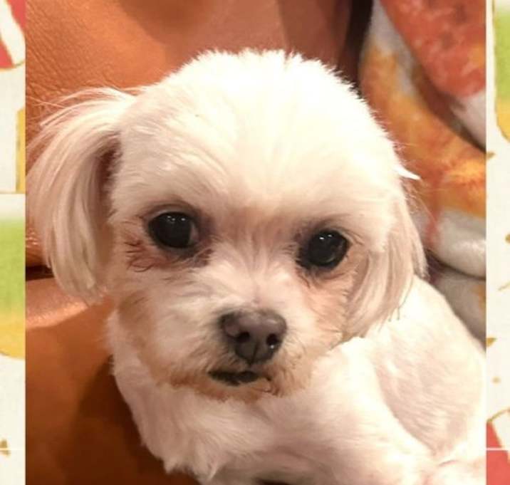 Photo of Little Man - Lovely Boy!