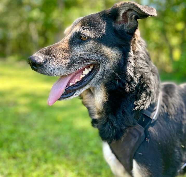 Photo of Paw Paw