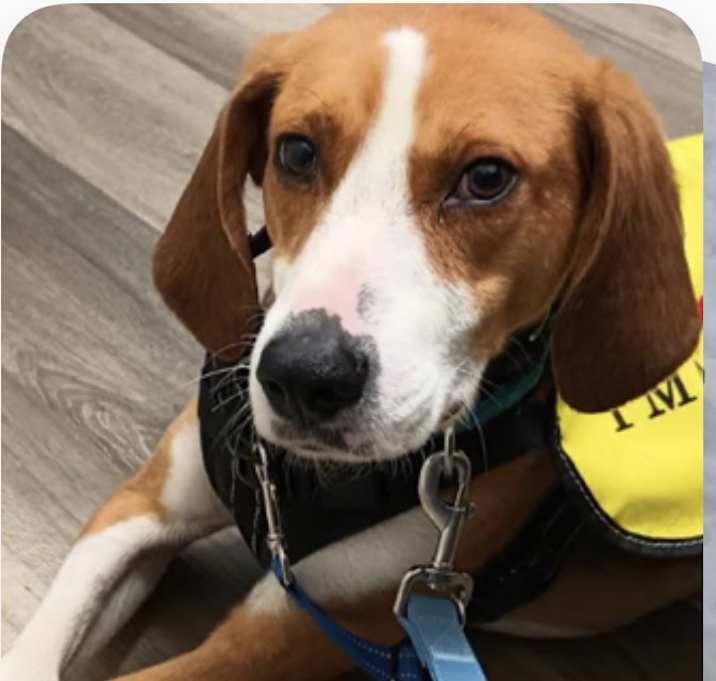 Photo of Whiskey
