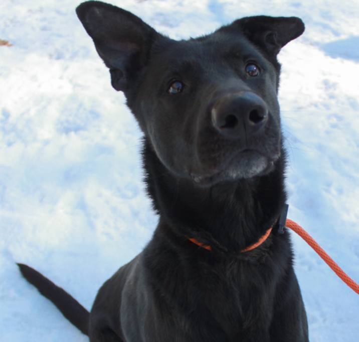 Photo of Oso