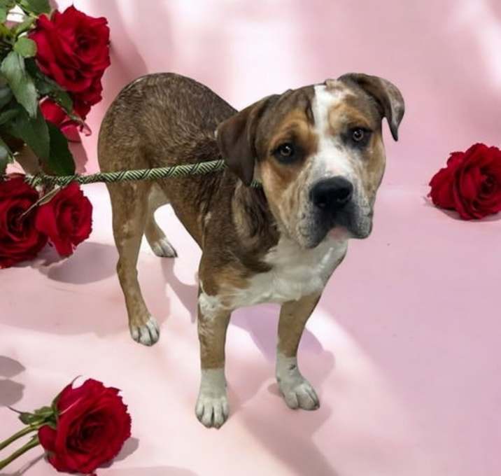 Photo of Murphy