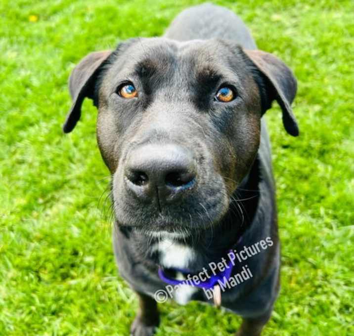 Photo of Buster