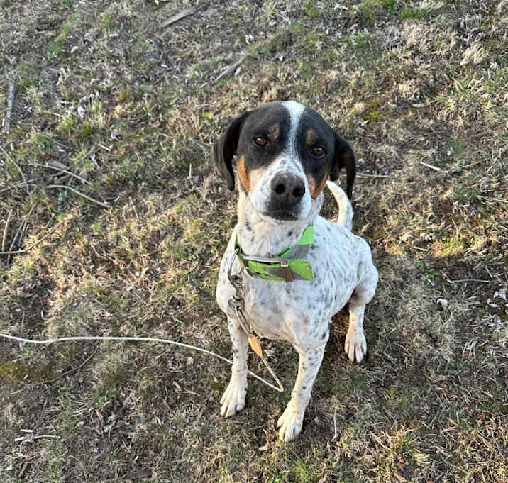 Photo of Oscar