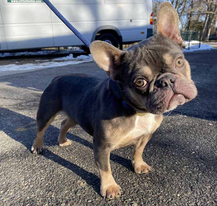 Photo of Hershey