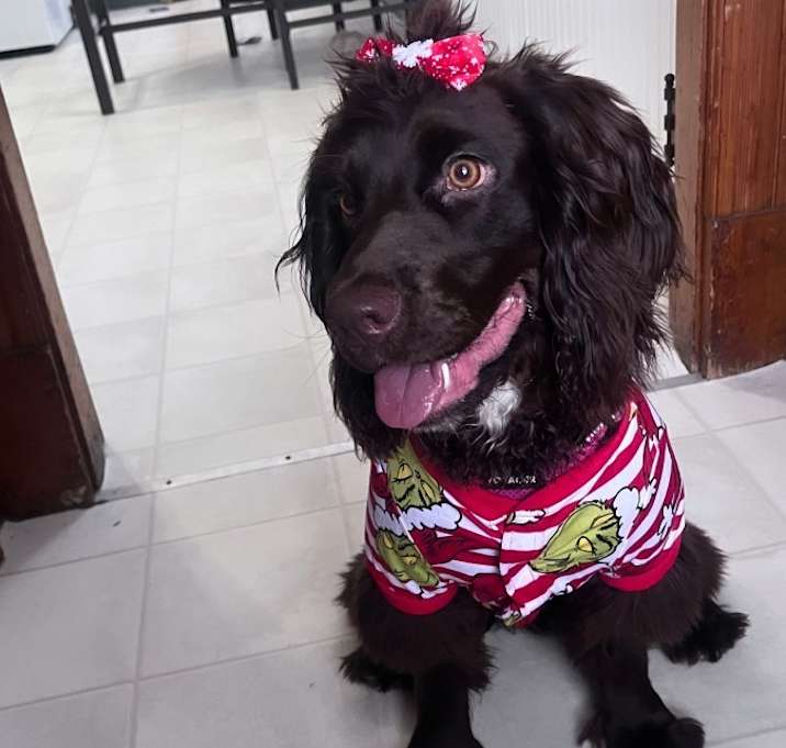 Photo of Belle