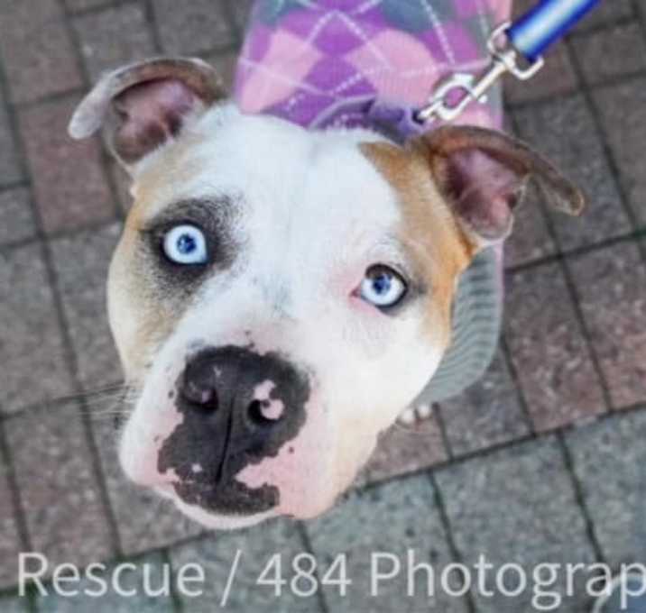 Photo of Fiona