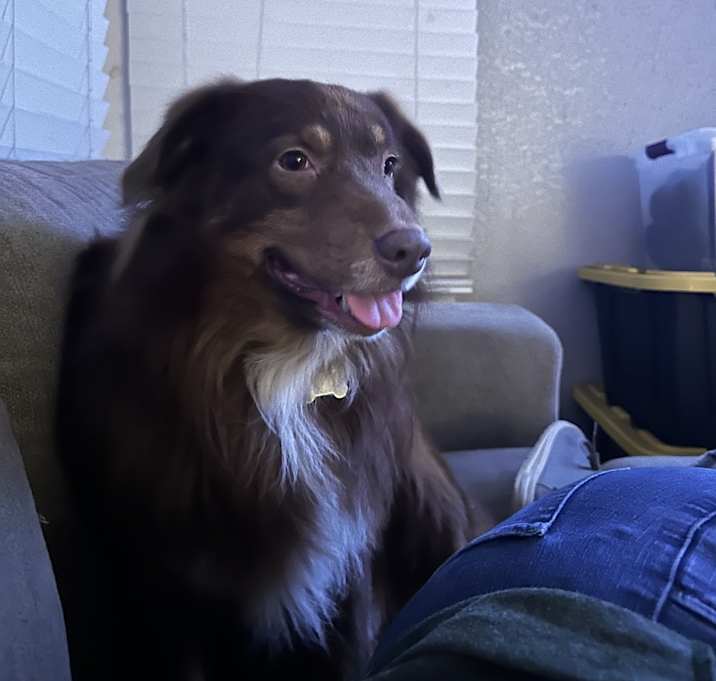 Photo of Bentley