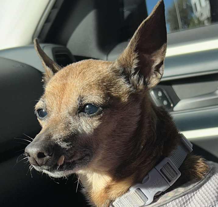 Photo of ZOE