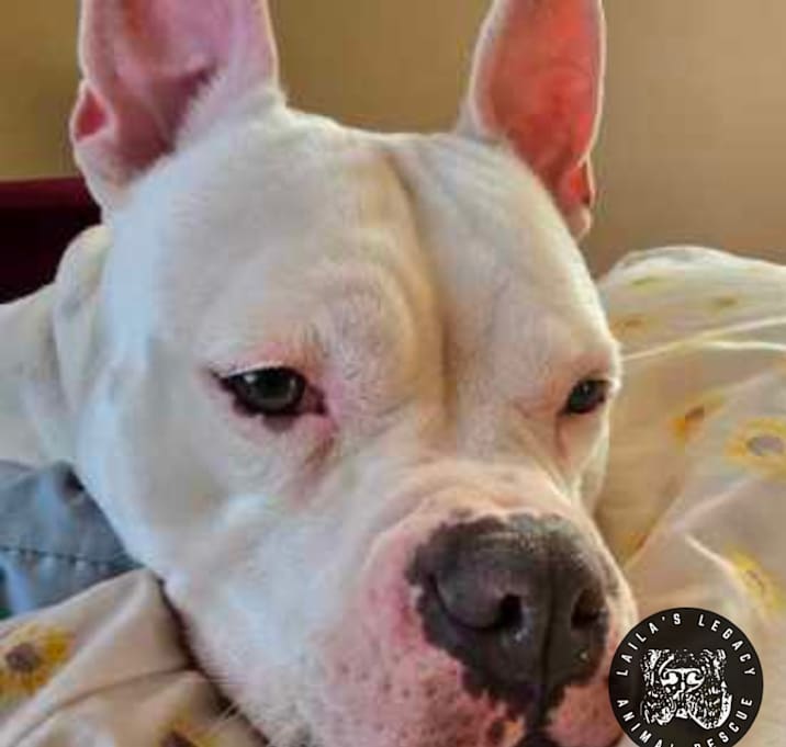 Photo of Cash