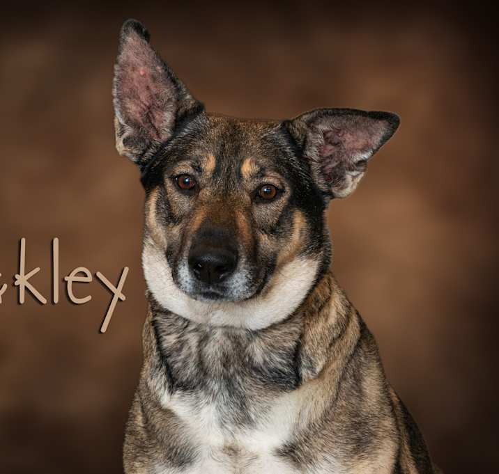 Photo of Oakley
