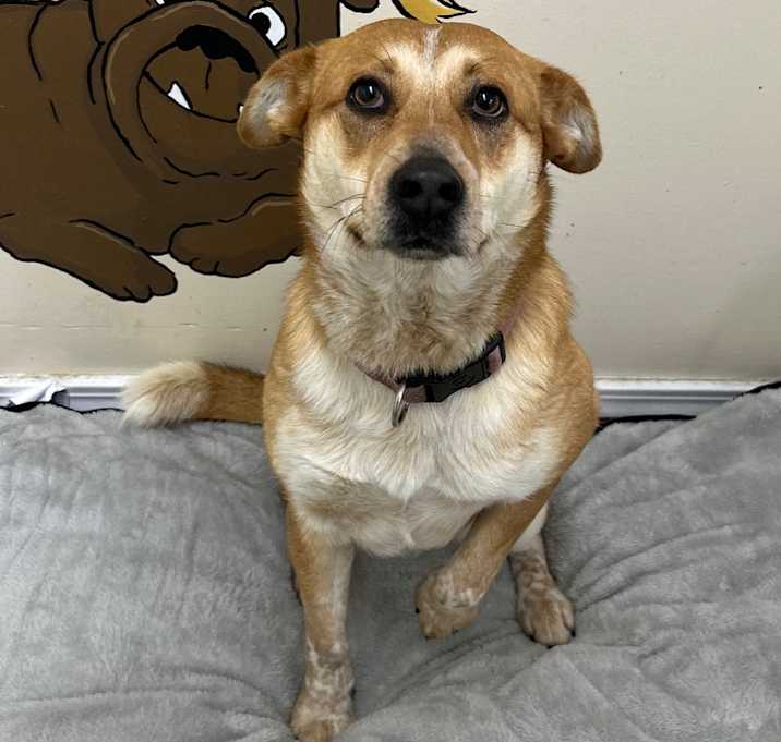 Photo of Bingo