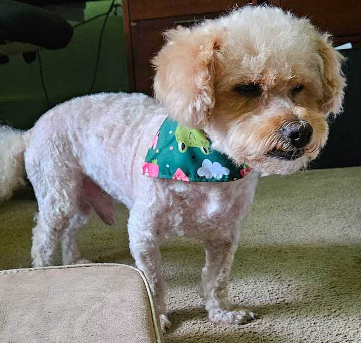 Photo of carl