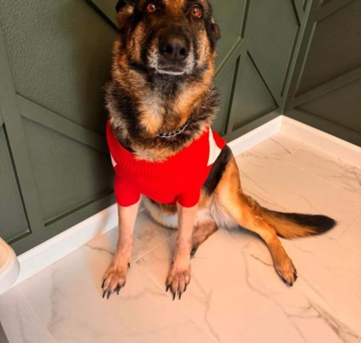 Photo of laila