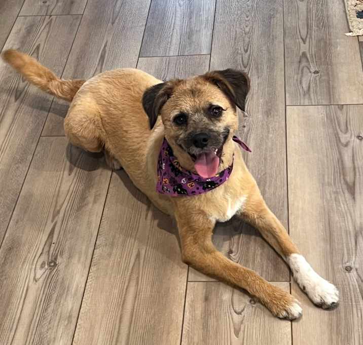 Photo of Tilly