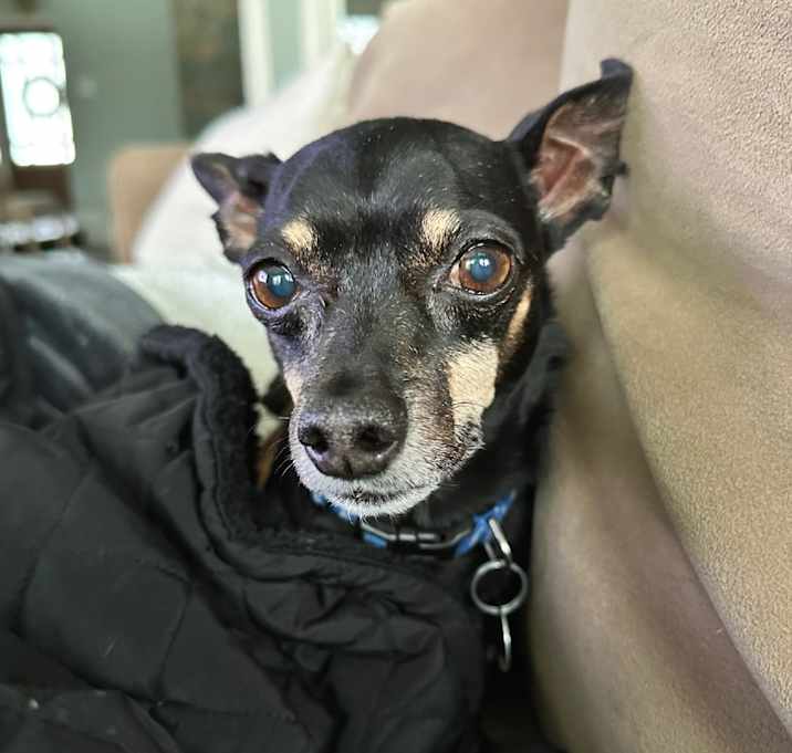 Photo of Willie